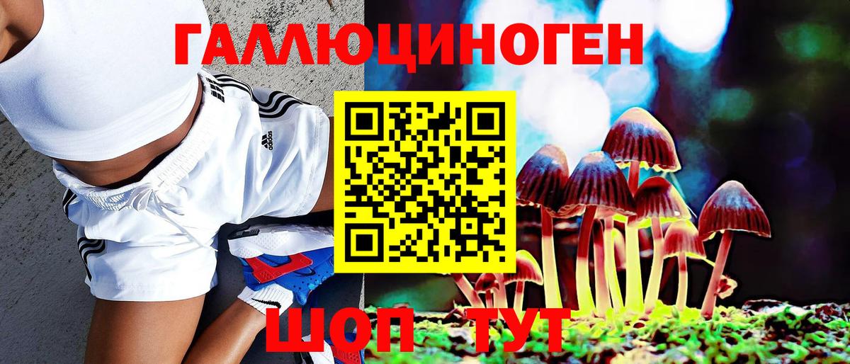 Галлюциногенные грибы Cubensis  Вход с VPN  Петрозаводск 