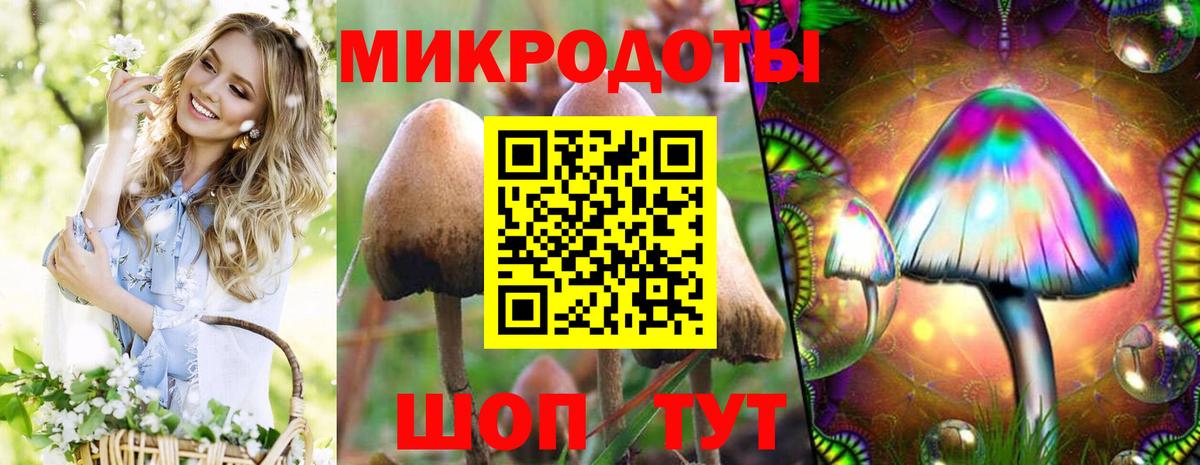 Галлюциногенные грибы Cubensis Петрозаводск